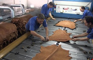 ‘Kurban Derisi ve Bağırsağı Ekonomiye Kazanç Olsun'